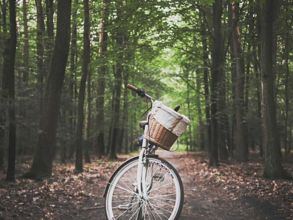 pexels-dominika-roseclay-1239460-e1663845788475