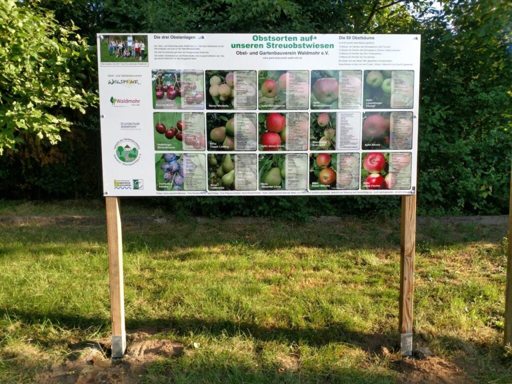 IMG_20190724_073750274_HDR