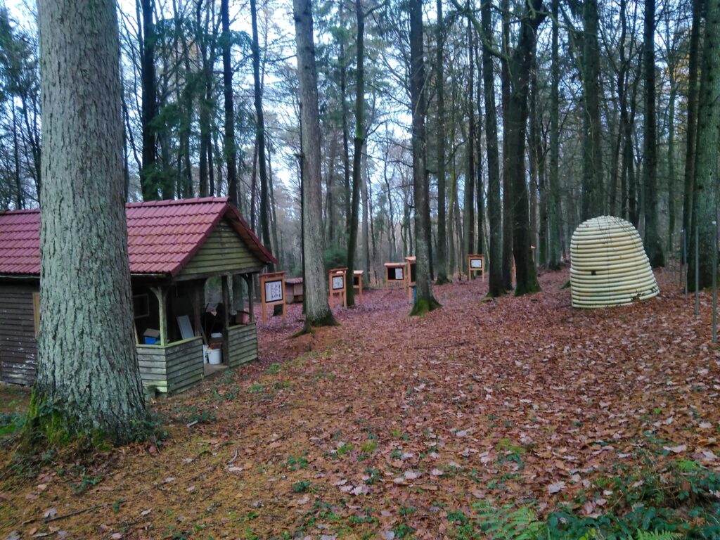 IMG_20201205_160659-scaled