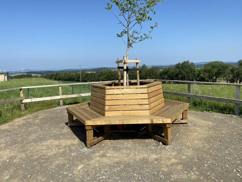 IMG_3494-e1630397540730