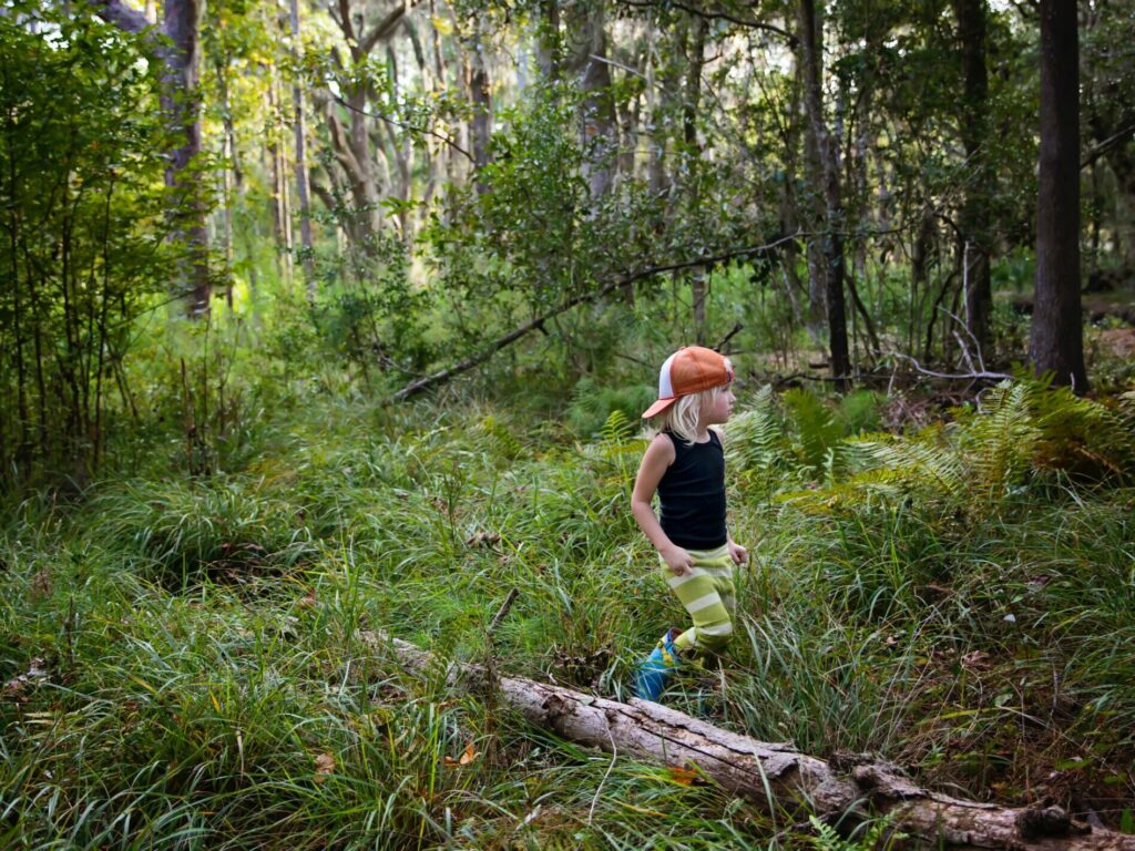 pexels-amber-faust-2936722-scaled-e1631026343671