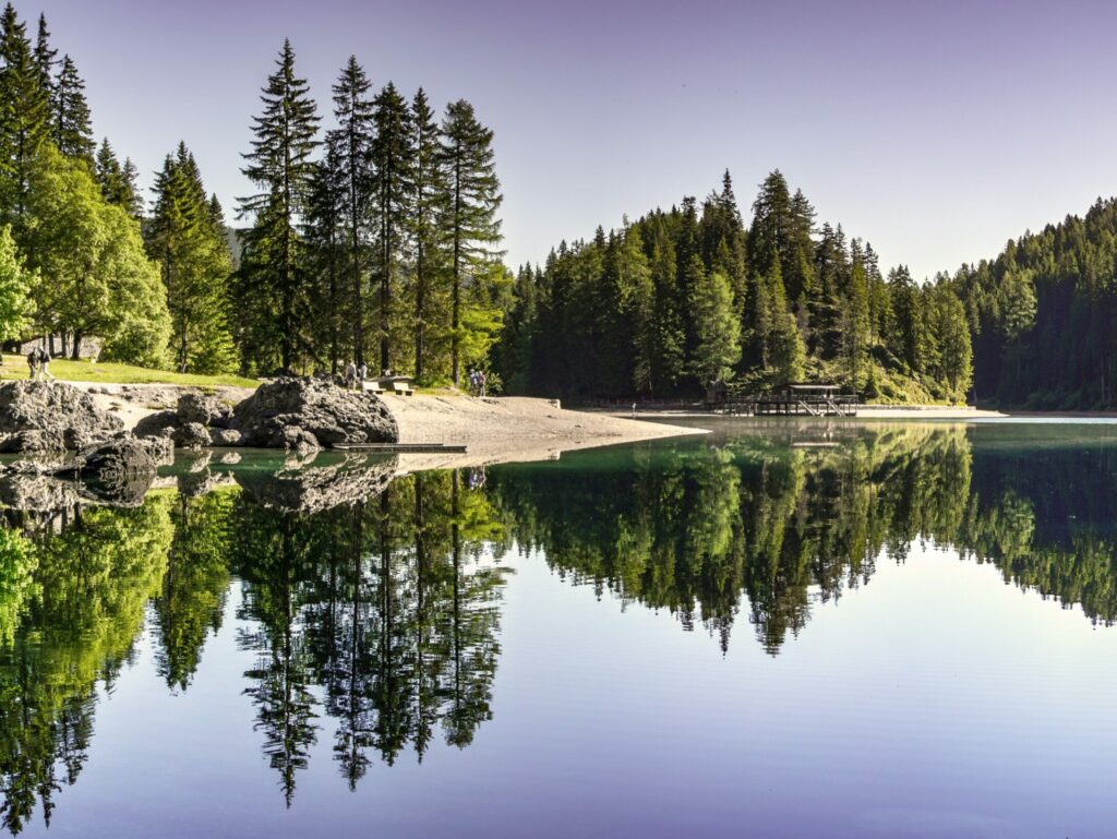 pexels-eberhard-grossgasteiger-454880-scaled-e1626165493426