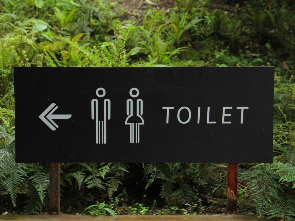 pexels-hafidz-alifuddin-88808-scaled-e1629353928972