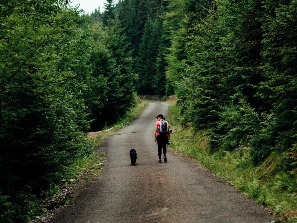 pexels-marcin-jozwiak-2739505-e1624347988854