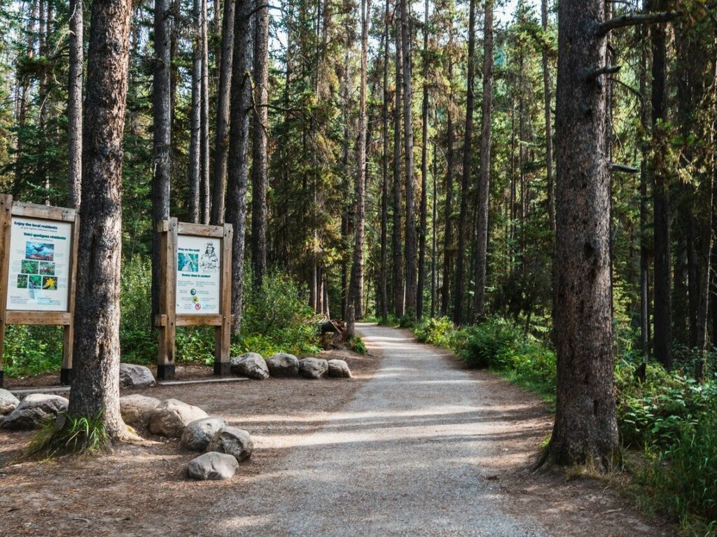 pexels-nick-valmores-4476806-e1626167033382